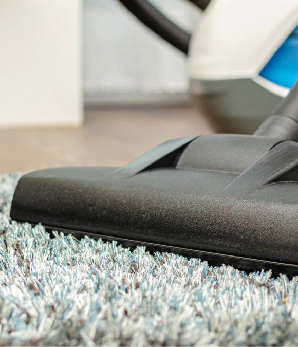 Odor Control & Cleaning