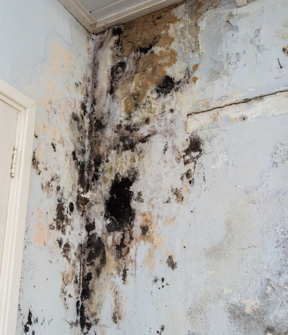 Water Damage Restoration