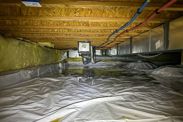 Crawl Space Encapsulation Services