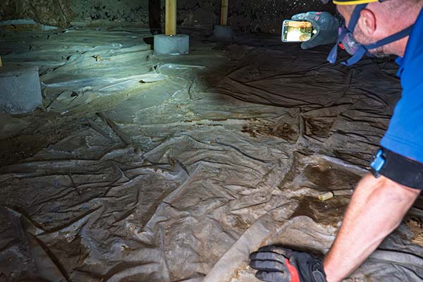 View More About Crawl Space Encapsulation Service