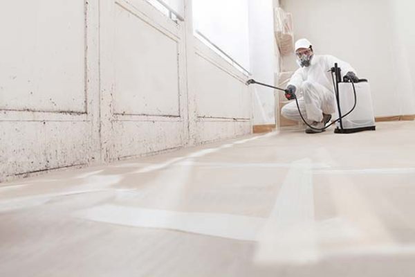 View More About Mold Remidiation Service