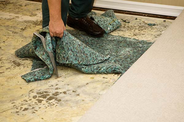 View More About Water Removal Service